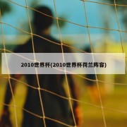 2010世界杯(2010世界杯荷兰阵容)